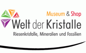 logo (1)